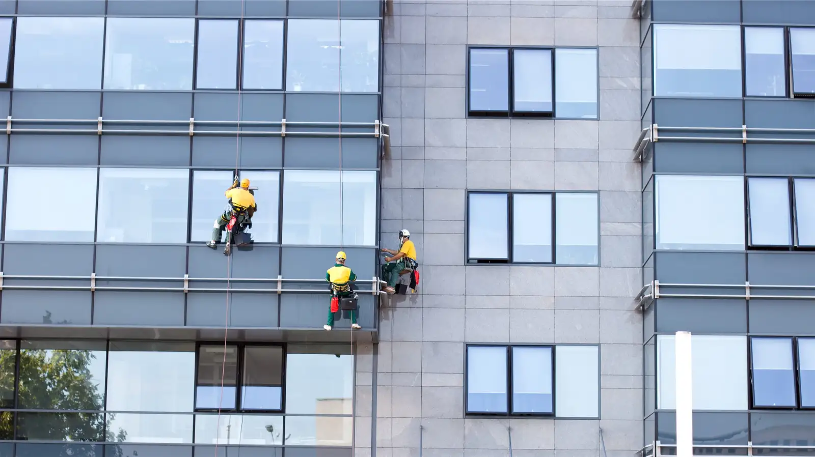 Commercial window cleaning on a glass facade