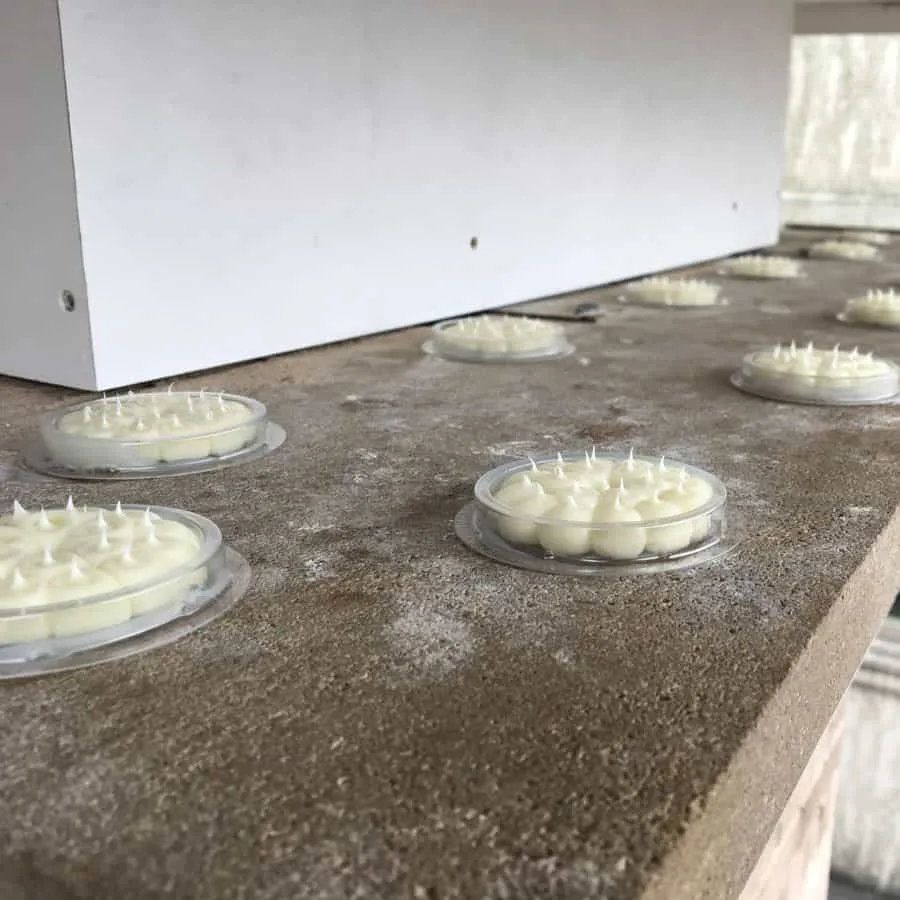 Optical bird repellent gel dishes installed along a ledge
